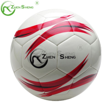 The Best Soccer Ball.png